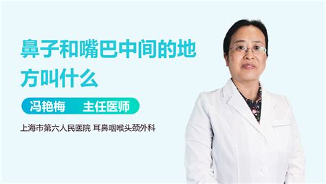 鼻子嘴巴中間|鼻子与嘴巴之间叫什么